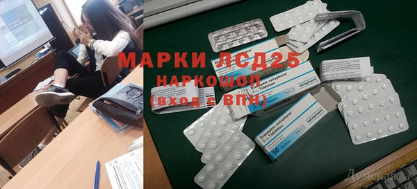 PSILOCYBIN Остров